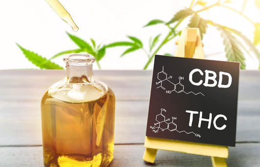 Full spectrum CBD vs Broad spectrum CBD what is the difference? - remedykartelcbd1stop
