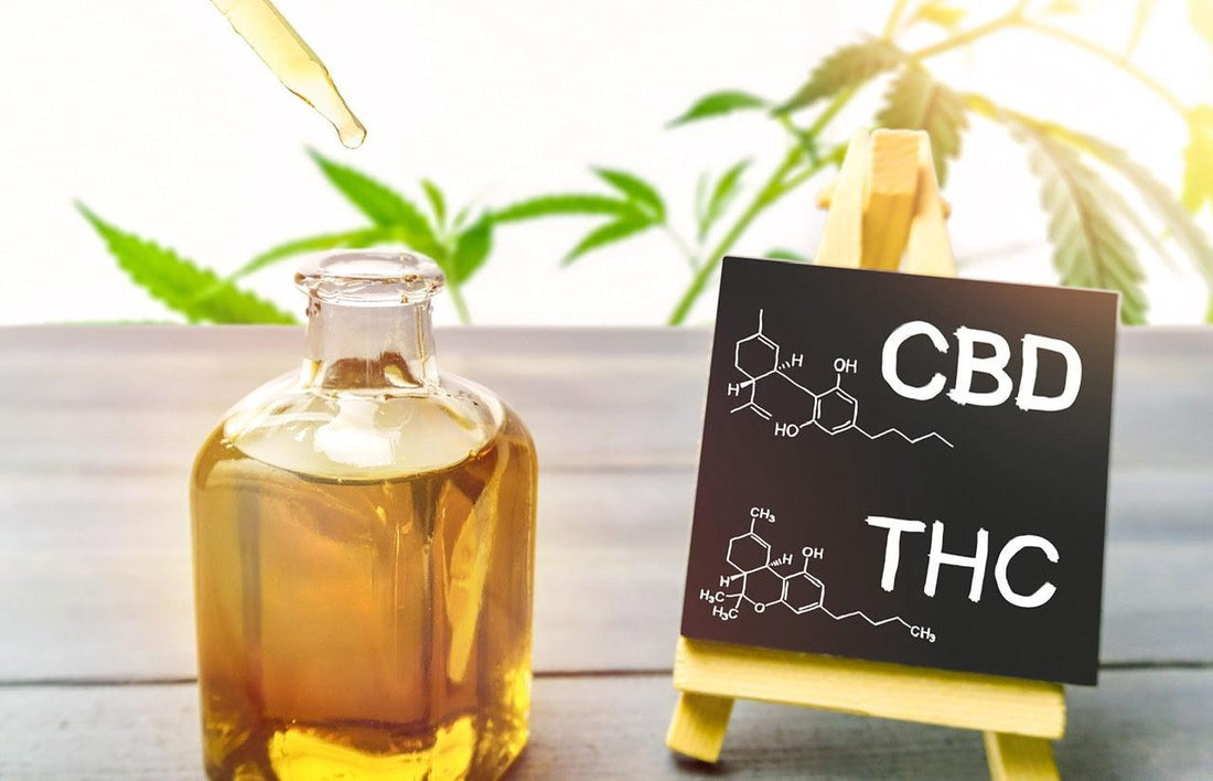Full spectrum CBD vs Broad spectrum CBD what is the difference? - remedykartelcbd1stop