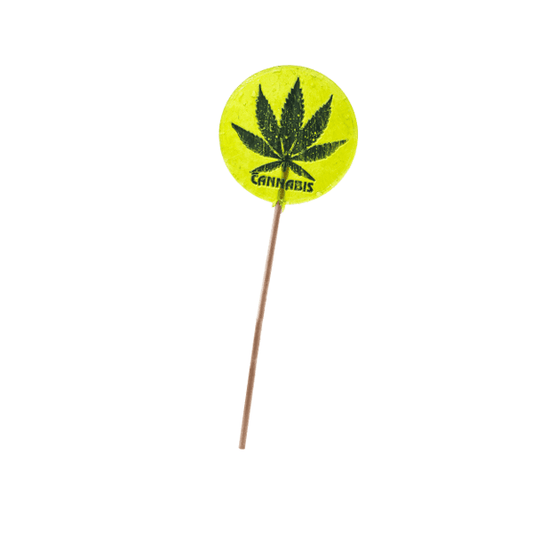 Euphoria Cannabis Giga Flat Lollipop 70g - remedykartelcbd1stop